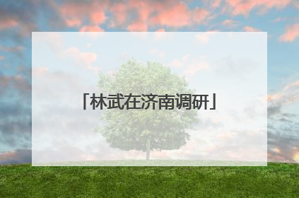 林武在济南调研