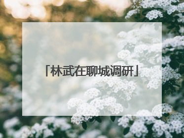 林武在聊城调研