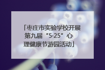 枣庄市实验学校开展第九届“5·25”心理健康节游园活动