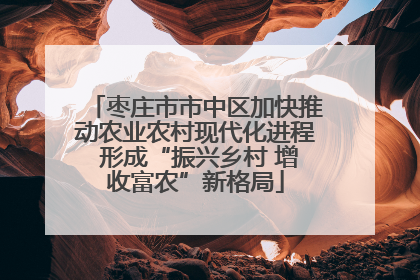 枣庄市市中区加快推动农业农村现代化进程 形成“振兴乡村 增收富农”新格局