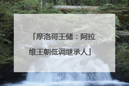 摩洛哥王储：阿拉维王朝低调继承人