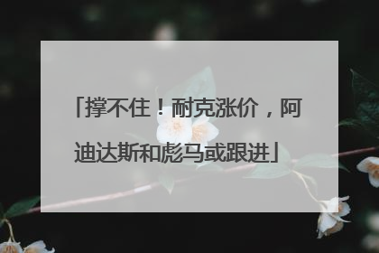 撑不住！耐克涨价，阿迪达斯和彪马或跟进