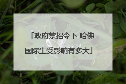 政府禁招令下 哈佛国际生受影响有多大