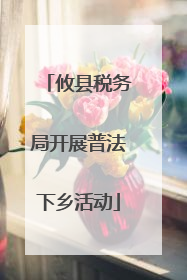 攸县税务局开展普法下乡活动