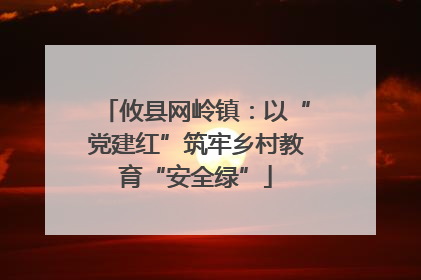 攸县网岭镇：以“党建红”筑牢乡村教育“安全绿”