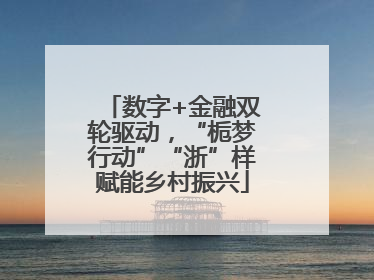 数字+金融双轮驱动，“栀梦行动”“浙”样赋能乡村振兴