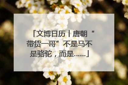 文博日历丨唐朝“带货一哥”不是马不是骆驼，而是……
