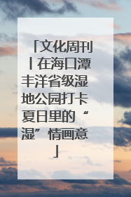 文化周刊丨在海口潭丰洋省级湿地公园打卡夏日里的“湿”情画意