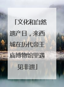 文化和自然遗产日，来西城在历代帝王庙博物馆里遇见非遗