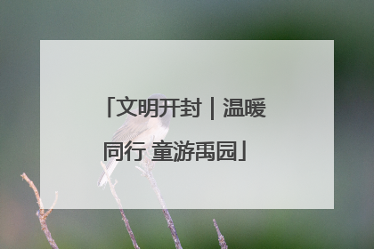 文明开封｜温暖同行 童游禹园