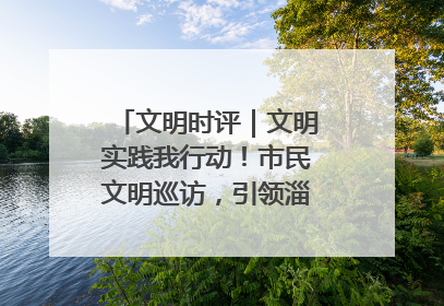 文明时评｜文明实践我行动！市民文明巡访，引领淄博全民志愿