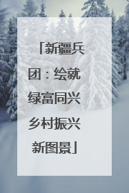 新疆兵团：绘就绿富同兴乡村振兴新图景