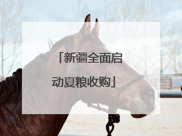 新疆全面启动夏粮收购