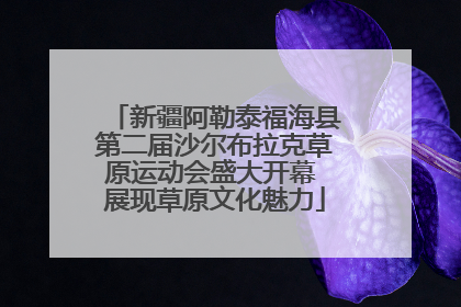 新疆阿勒泰福海县第二届沙尔布拉克草原运动会盛大开幕 展现草原文化魅力