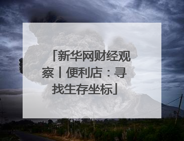新华网财经观察丨便利店：寻找生存坐标