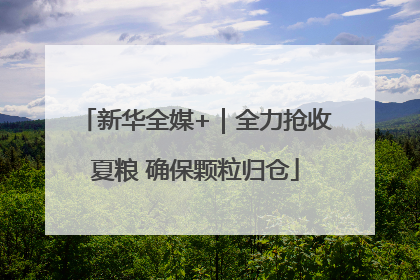 新华全媒+｜全力抢收夏粮 确保颗粒归仓