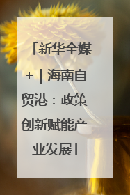 新华全媒+｜海南自贸港：政策创新赋能产业发展