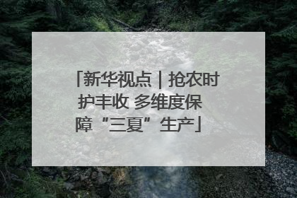 新华视点｜抢农时 护丰收 多维度保障“三夏”生产