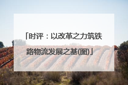 时评：以改革之力筑铁路物流发展之基(图)