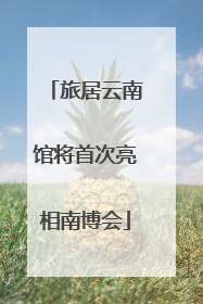 旅居云南馆将首次亮相南博会
