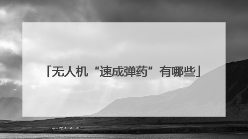 无人机“速成弹药”有哪些