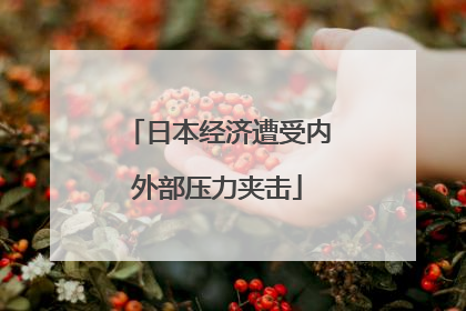 日本经济遭受内外部压力夹击