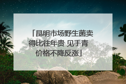 昆明市场野生菌卖得比往年贵 见手青价格不降反涨