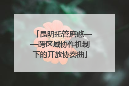 昆明托管磨憨——跨区域协作机制下的开放协奏曲