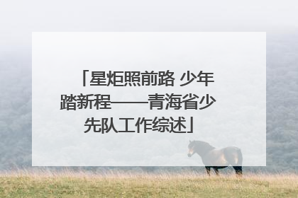 星炬照前路 少年踏新程——青海省少先队工作综述