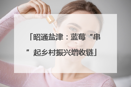 昭通盐津：蓝莓“串”起乡村振兴增收链