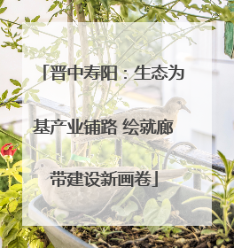 晋中寿阳：生态为基产业铺路 绘就廊带建设新画卷