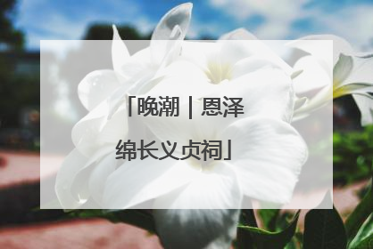 晚潮｜恩泽绵长义贞祠
