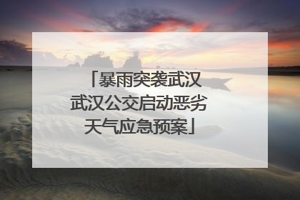 暴雨突袭武汉 武汉公交启动恶劣天气应急预案