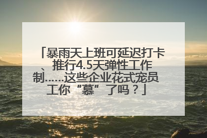 暴雨天上班可延迟打卡、推行4.5天弹性工作制……这些企业花式宠员工你“慕”了吗？