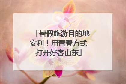 暑假旅游目的地安利！用青春方式打开好客山东