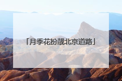 月季花扮靓北京道路
