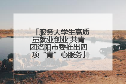 服务大学生高质量就业创业 共青团洛阳市委推出四项“青”心服务