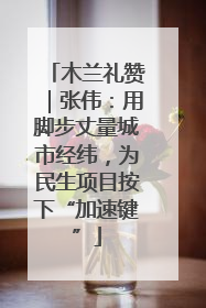 木兰礼赞｜张伟：用脚步丈量城市经纬，为民生项目按下“加速键”
