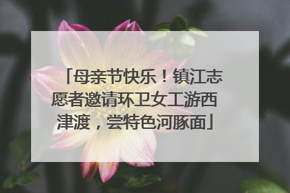 母亲节快乐！镇江志愿者邀请环卫女工游西津渡，尝特色河豚面