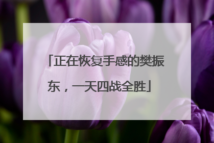 正在恢复手感的樊振东，一天四战全胜