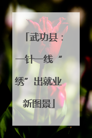 武功县：一针一线“绣”出就业新图景