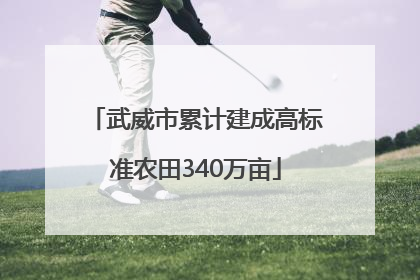 武威市累计建成高标准农田340万亩