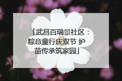 武昌百瑞景社区：粽意童行庆双节 护苗传承筑家园