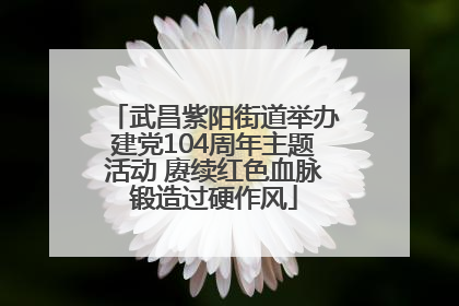 武昌紫阳街道举办建党104周年主题活动 赓续红色血脉锻造过硬作风