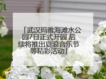 武汉玛雅海滩水公园7日正式开园 后续将推出夏浪音乐节等精彩活动