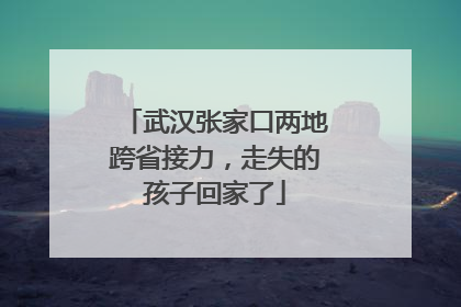 武汉张家口两地跨省接力，走失的孩子回家了