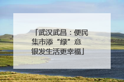 武汉武昌：便民集市添“绿”意 银发生活更幸福