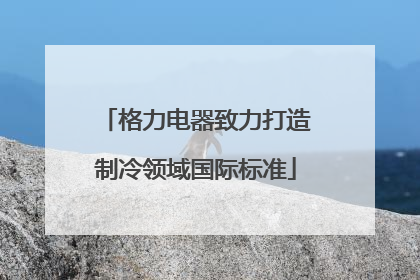 格力电器致力打造制冷领域国际标准