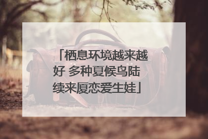 栖息环境越来越好 多种夏候鸟陆续来厦恋爱生娃
