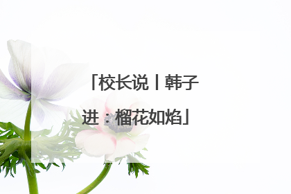 校长说丨韩子进：榴花如焰